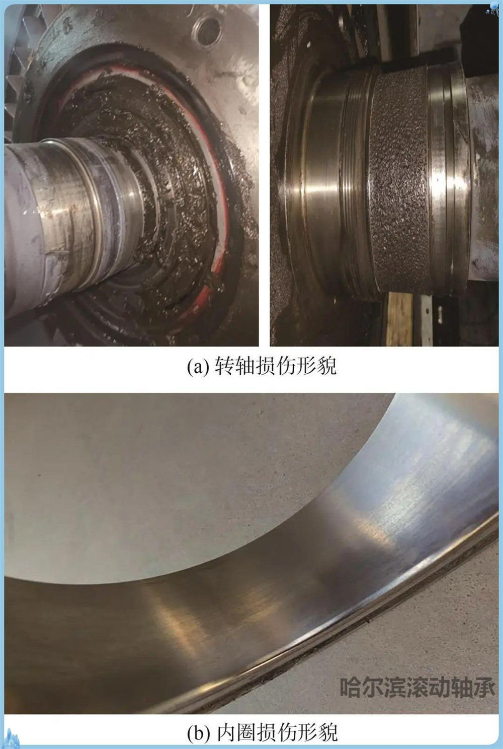 202501141554571446235.jpg 202501141554571446235.jpg