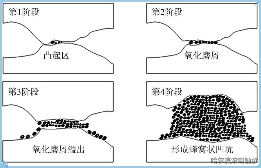 202501141555596149102.jpg 202501141555596149102.jpg